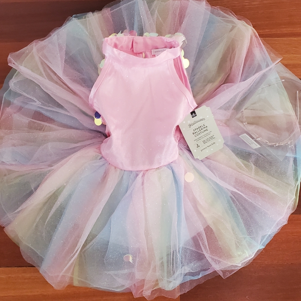 Pottery Barn Kids Ballerina Costume